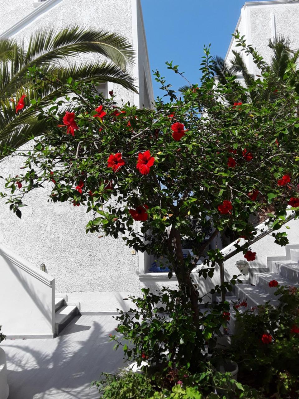 Azalea Hotel Kamari  Exterior photo